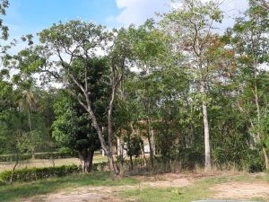 KP Cottages
