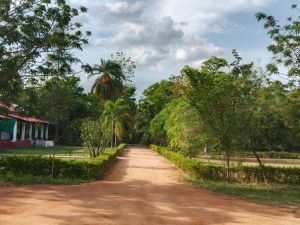 KP Cottages